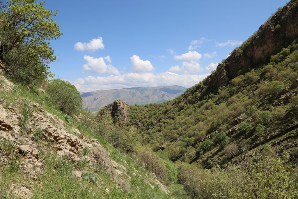 Tishk International University | The Future is Here