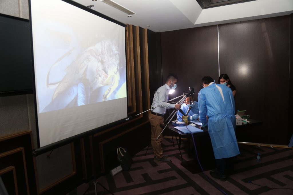 Tishk International University | The Future is Here