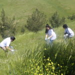 Tishk International University | The Future is Here