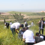 Tishk International University | The Future is Here