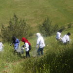 Tishk International University | The Future is Here