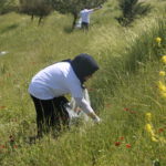 Tishk International University | The Future is Here