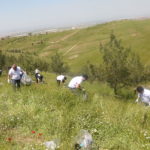 Tishk International University | The Future is Here