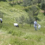 Tishk International University | The Future is Here