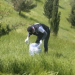 Tishk International University | The Future is Here