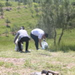 Tishk International University | The Future is Here