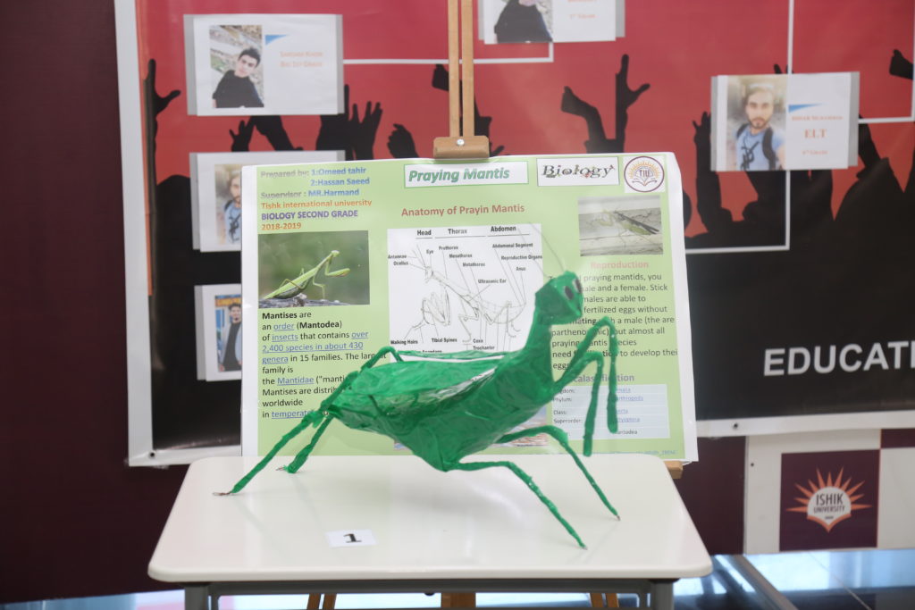 Tishk International University | The Future is Here