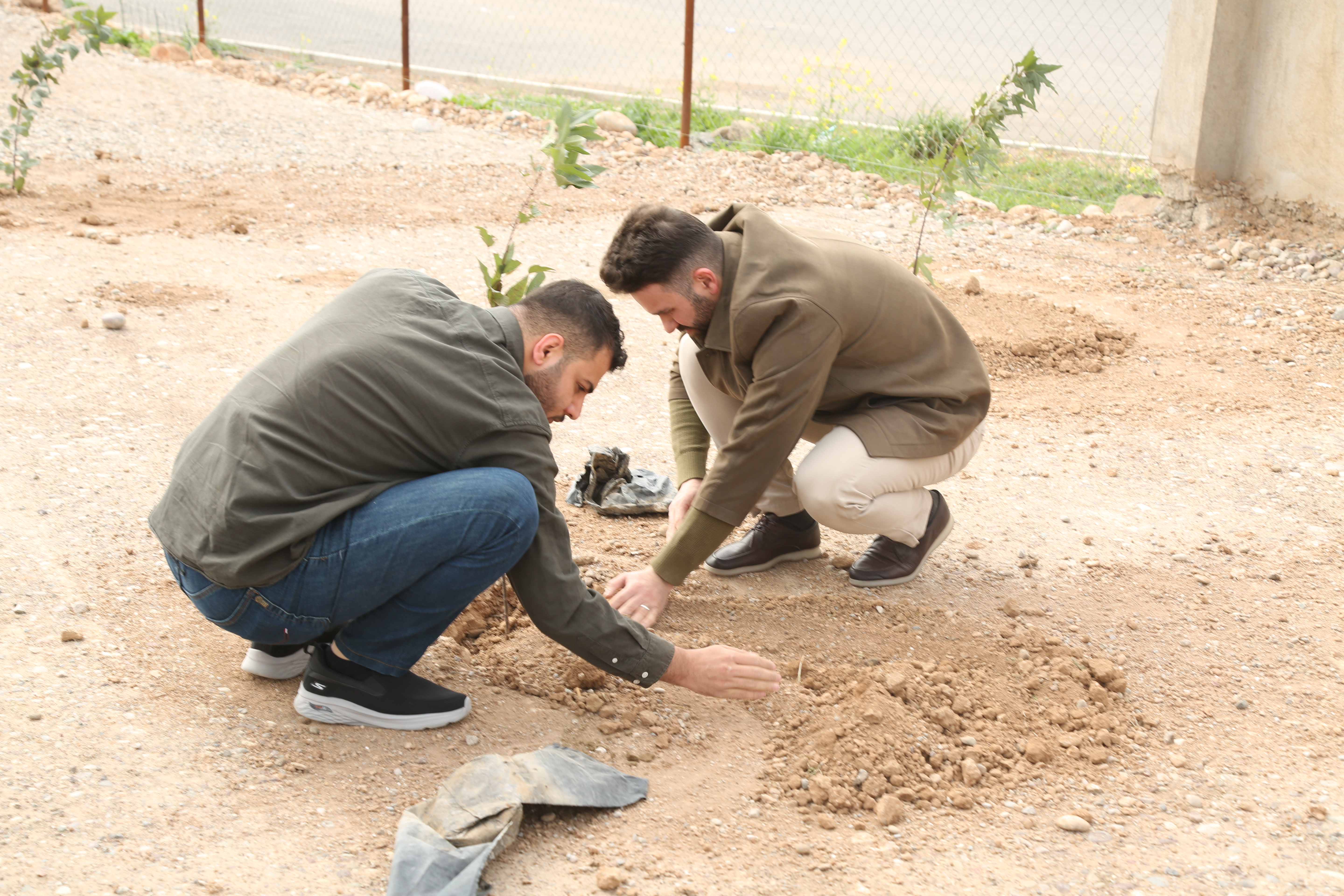 Tishk International University | The Future is Here