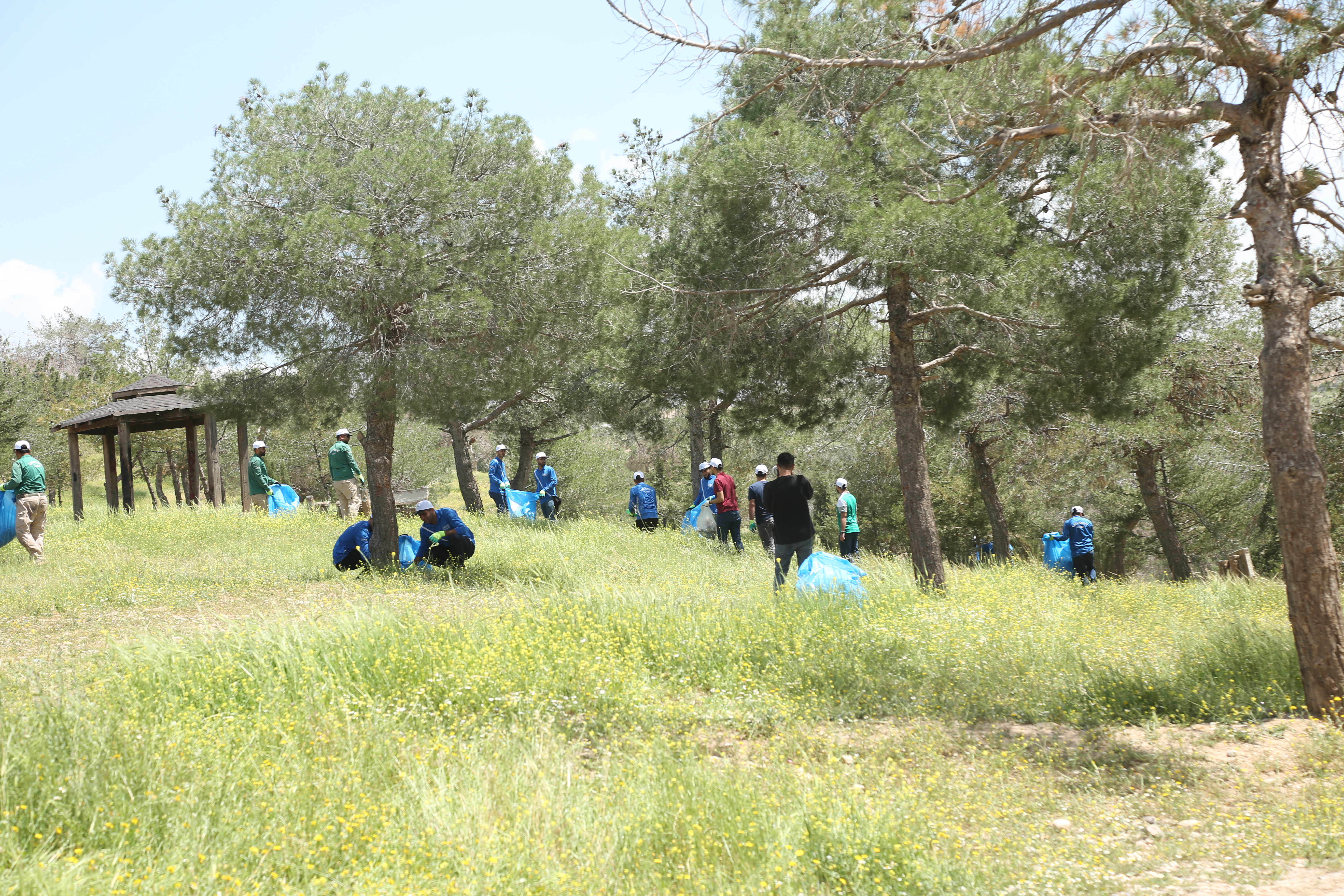 Tishk International University | The Future is Here