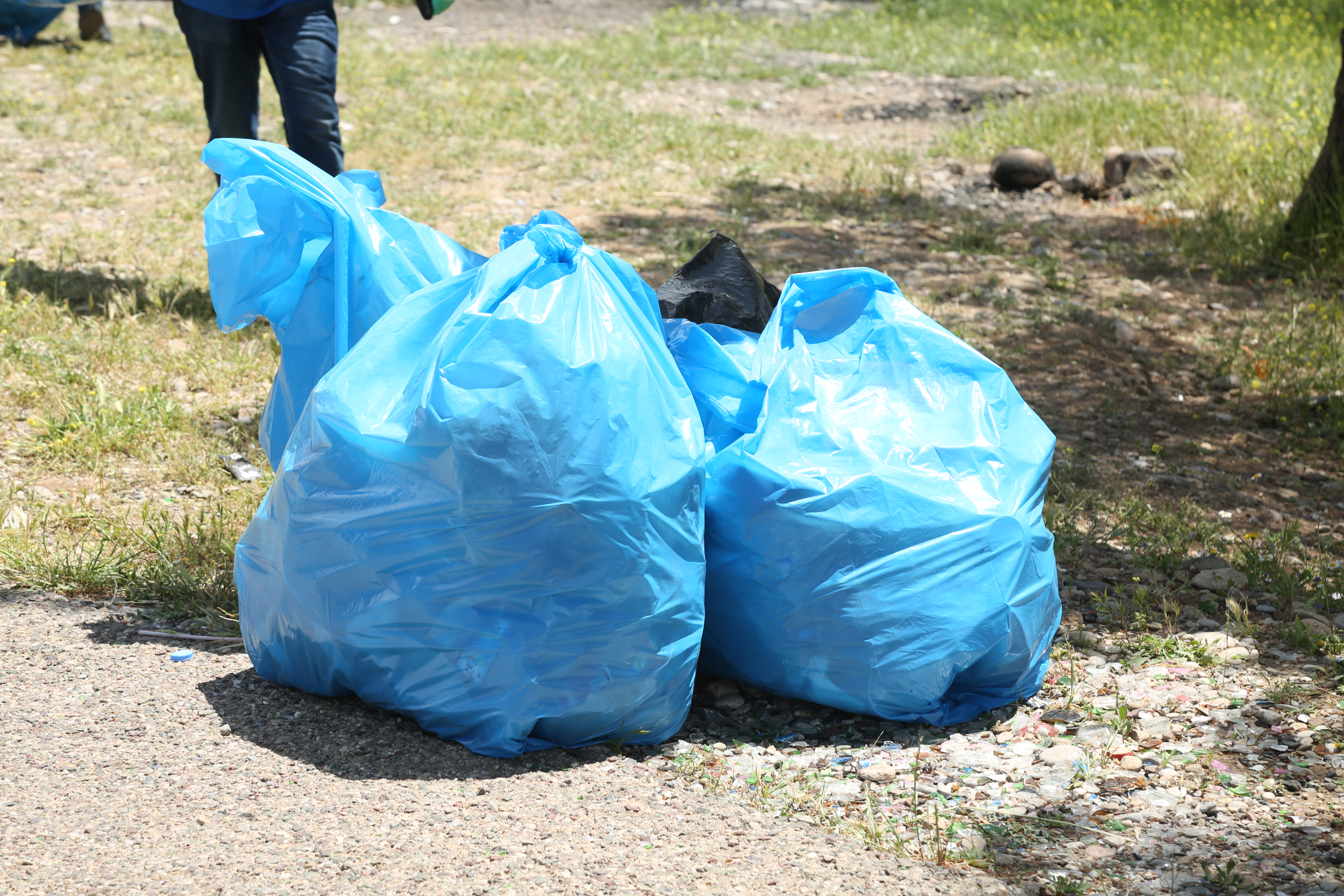 Tishk International University | The Future is Here