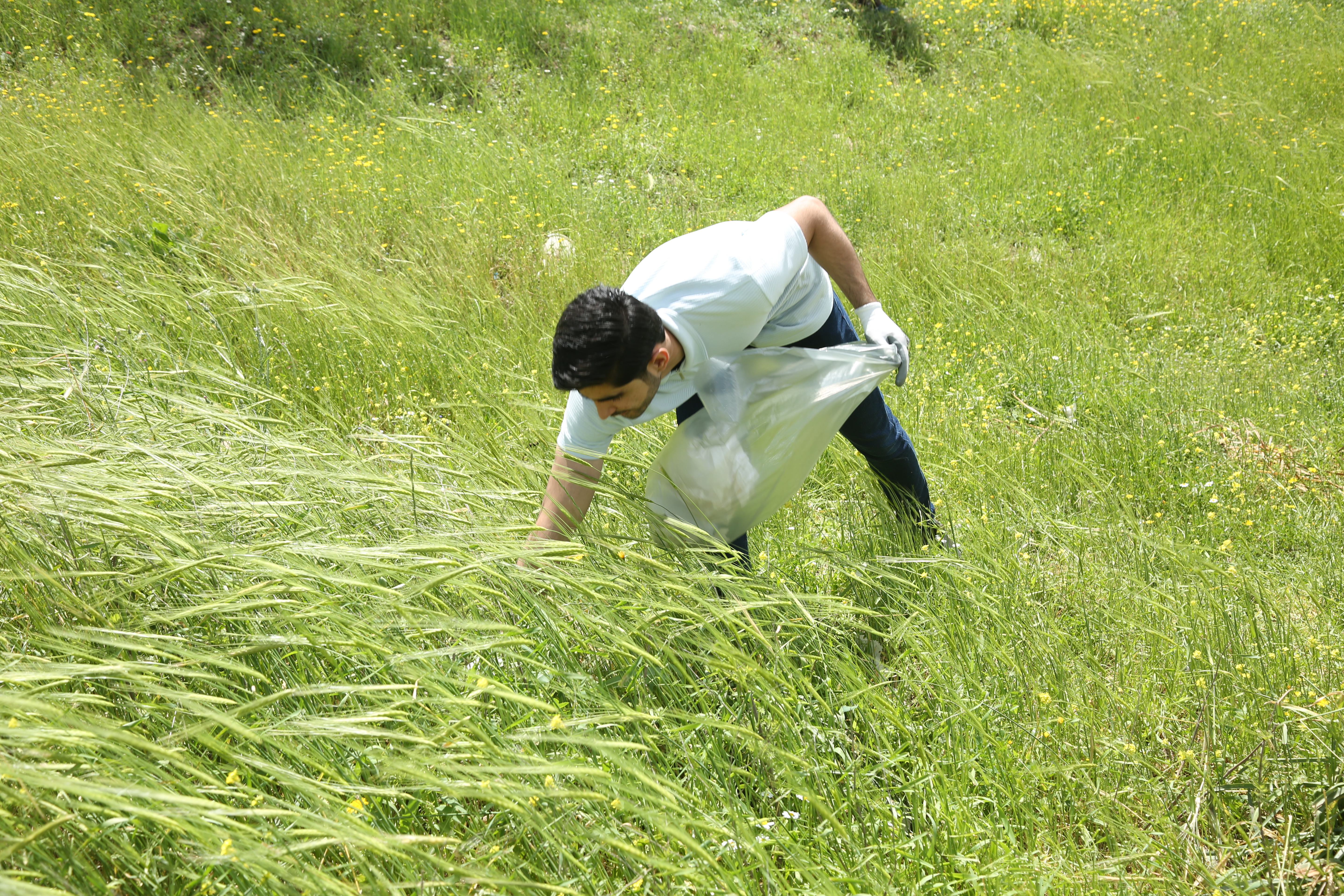 Tishk International University | The Future is Here