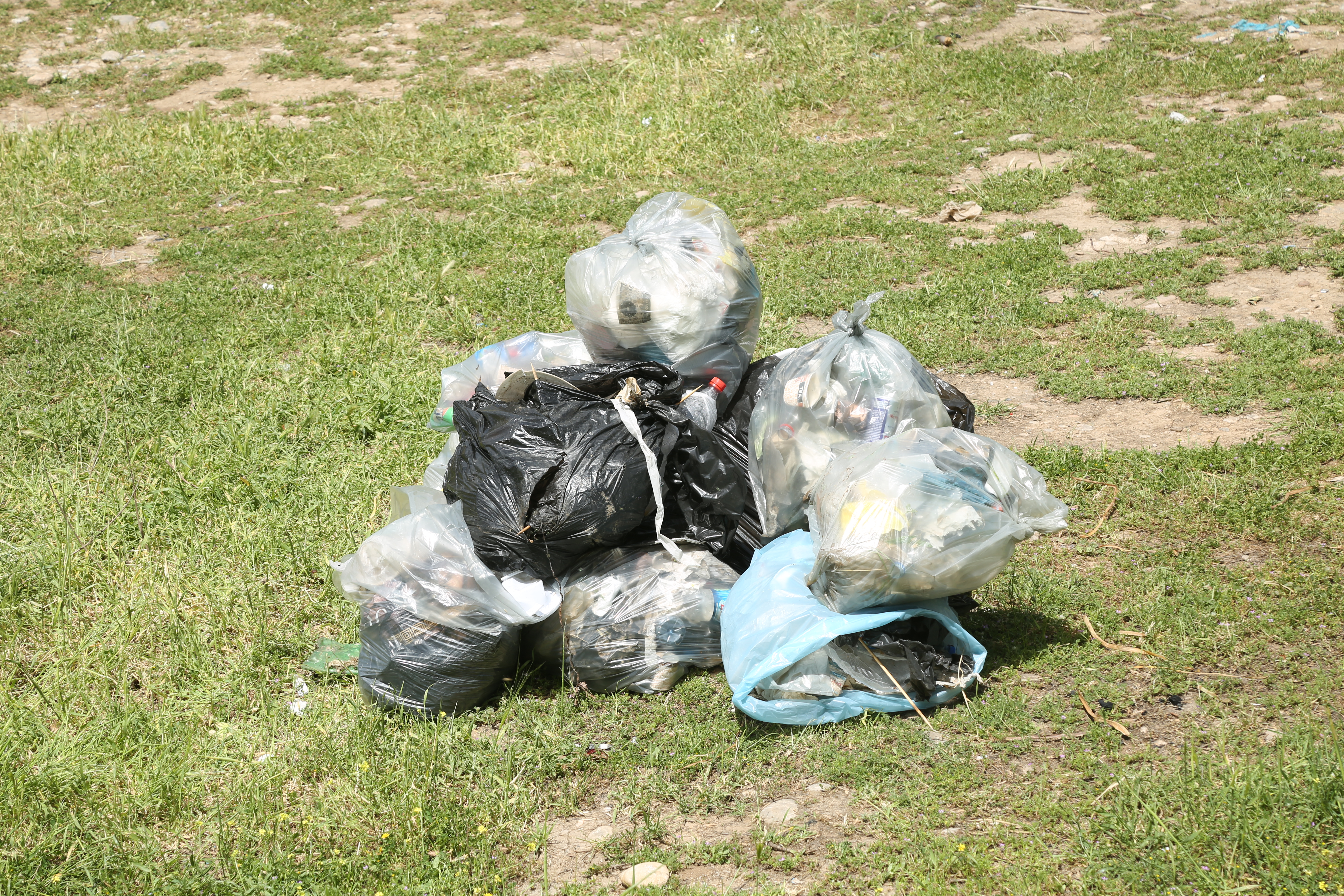 Tishk International University | The Future is Here