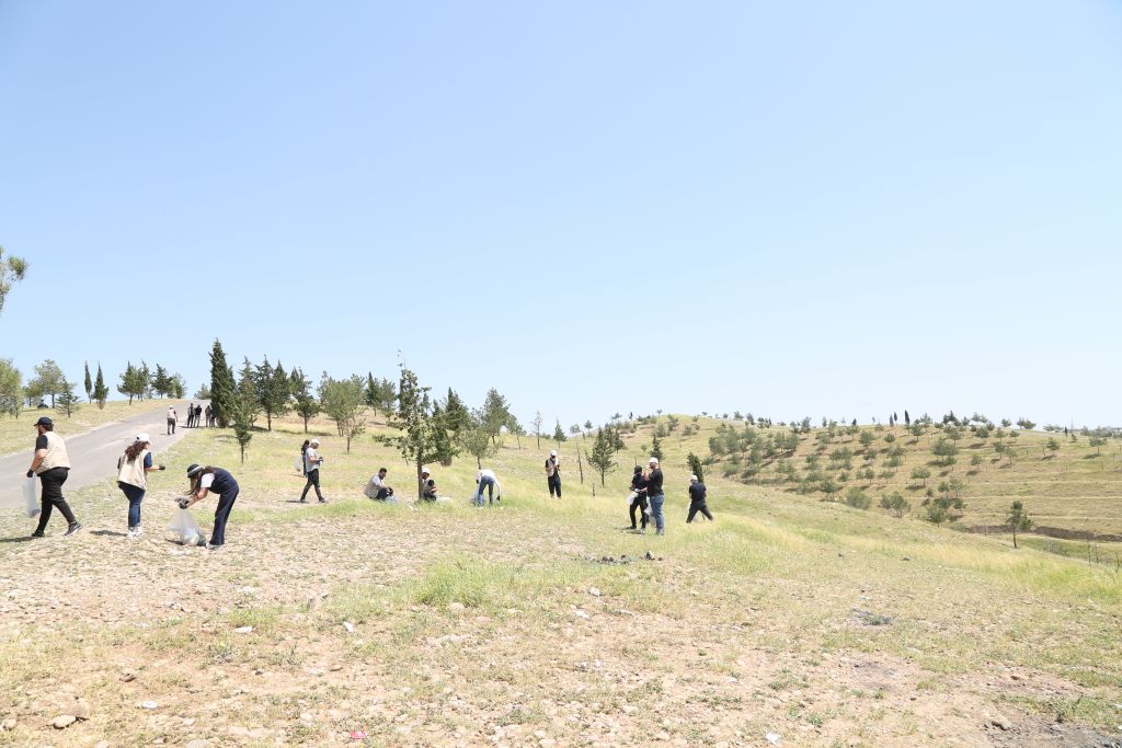 Tishk International University | The Future is Here