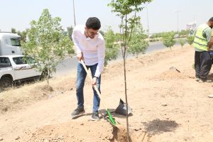 Tishk International University | The Future is Here