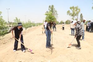 Tishk International University | The Future is Here