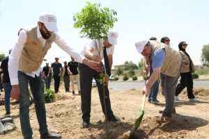 Tishk International University | The Future is Here