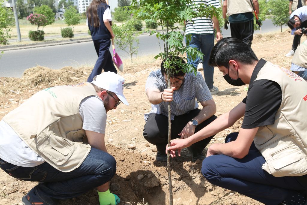 Tishk International University | The Future is Here