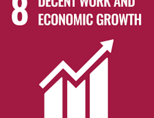 Progress Report SDG8