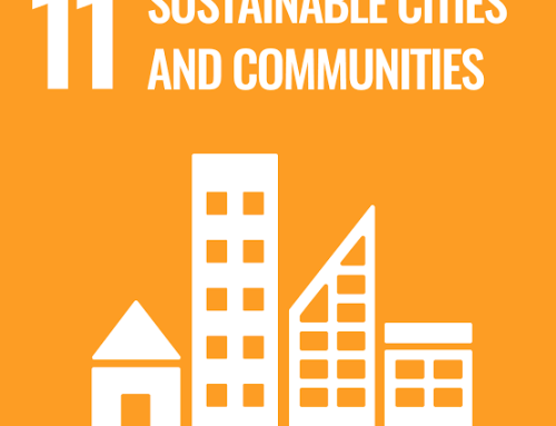 Progress Report SDG11