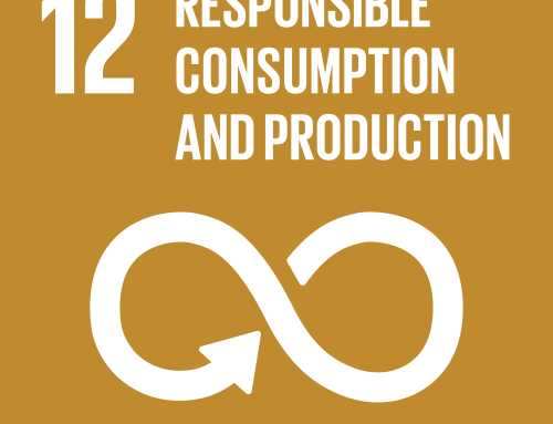 Progress Report SDG12