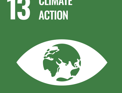 Progress Report SDG13