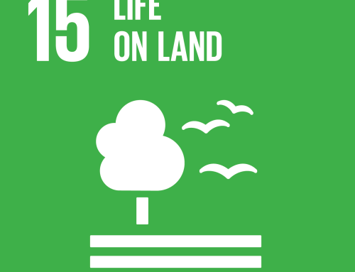 Progress Report SDG14